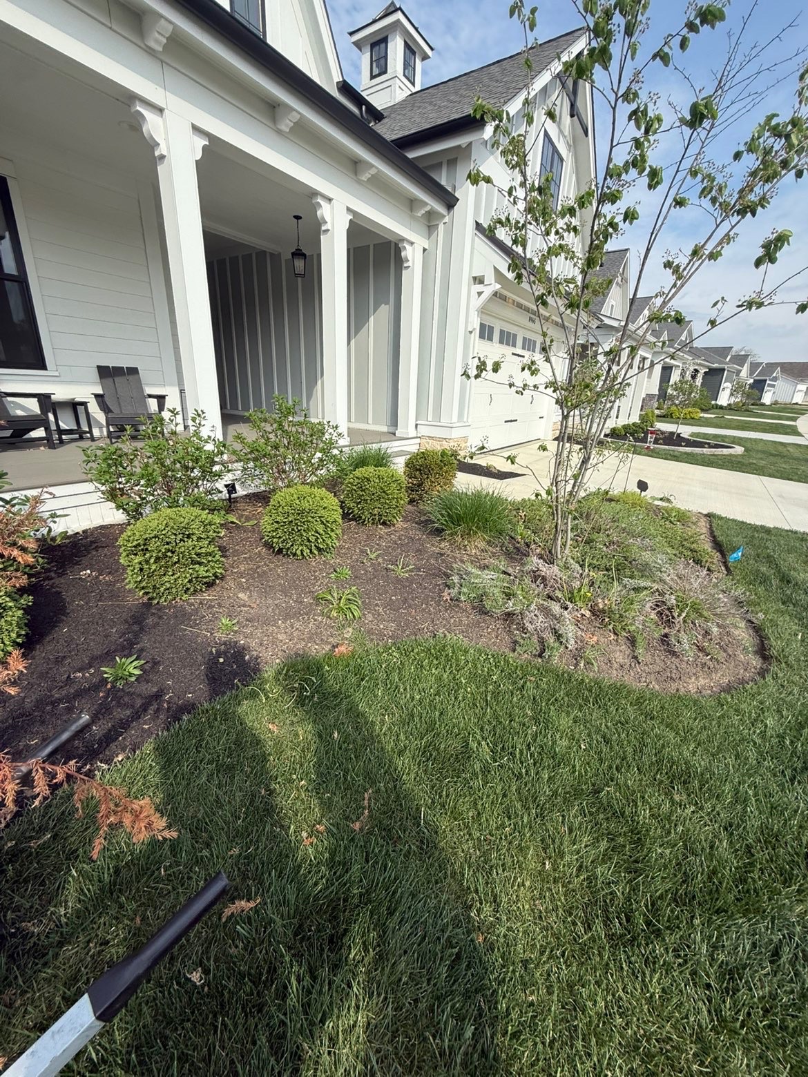 Manicured lawn outside a stately home